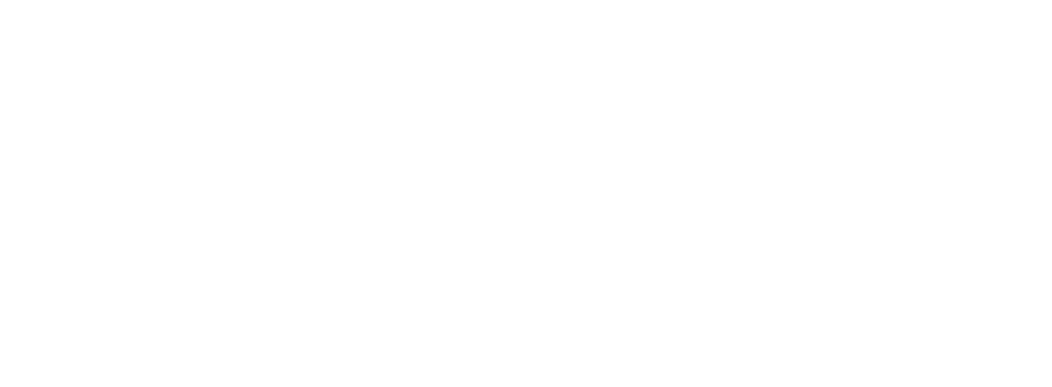 MEJI Logo